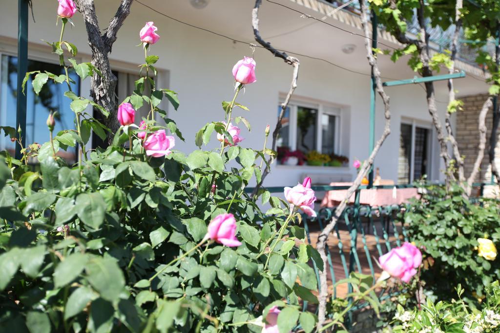 Apartment Marin Donji Seget Екстериор снимка